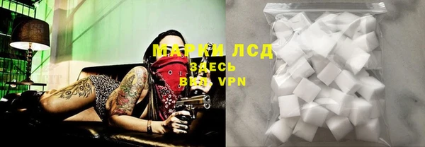 ALPHA-PVP Новозыбков