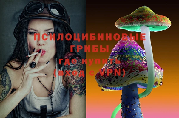 прущие грибы Алексеевка