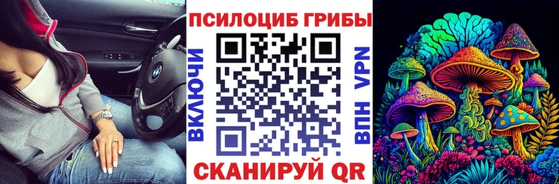 даркнет телеграм  KRAKEN как войти  Алдан  Псилоцибиновые грибы Magic Shrooms 
